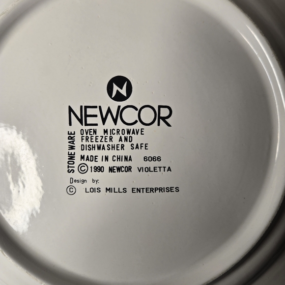 Set Of 4 Newcor Stoneware Dinner Plates - Picture 3 of 4